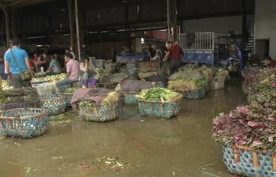 菜價(jià)持續(xù)走低，應(yīng)季蔬菜批量上市成主因