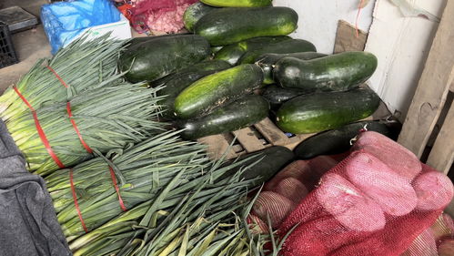 蔬菜價格高位運行，專家預測九月上旬將回落